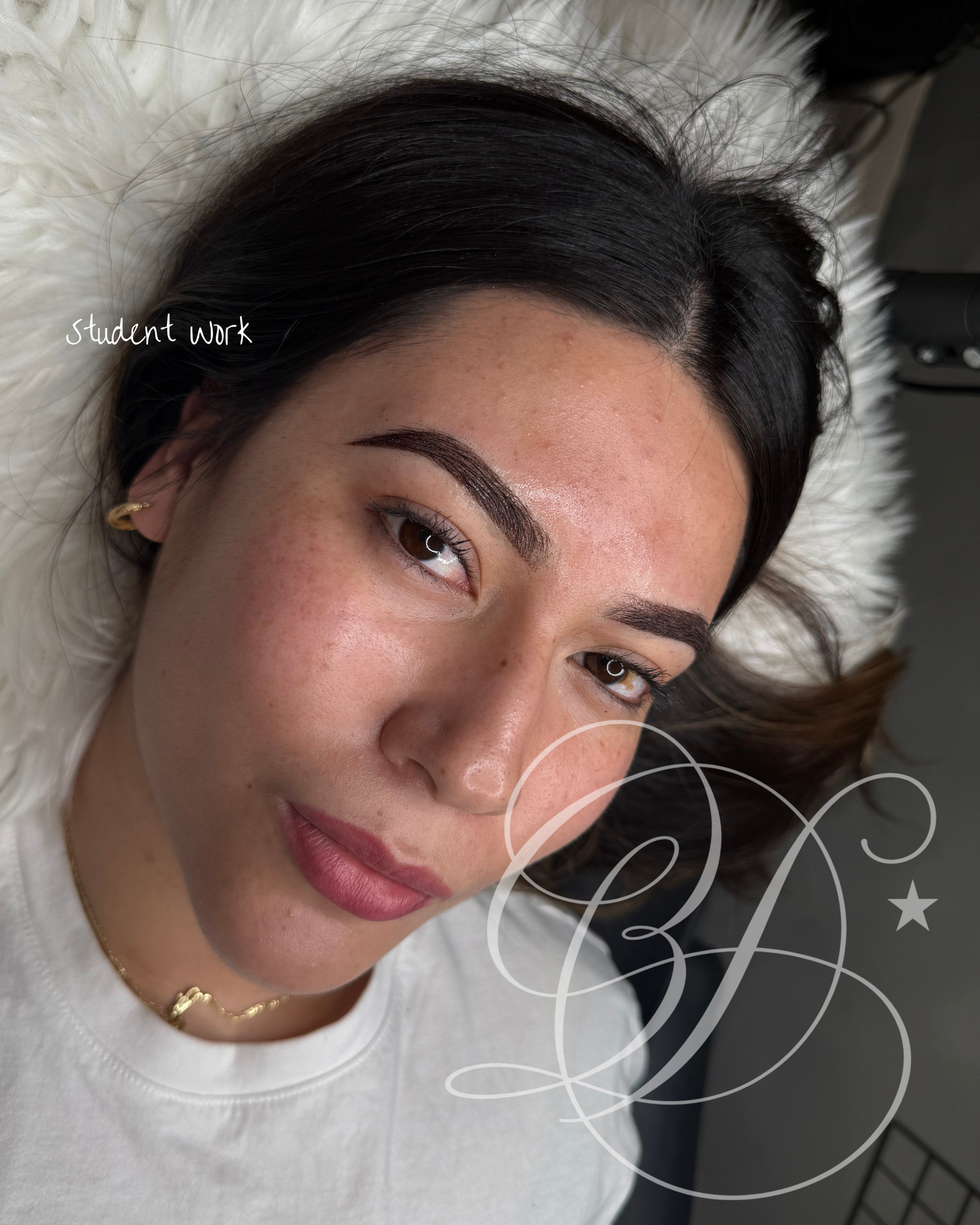 Ombre Brow Training