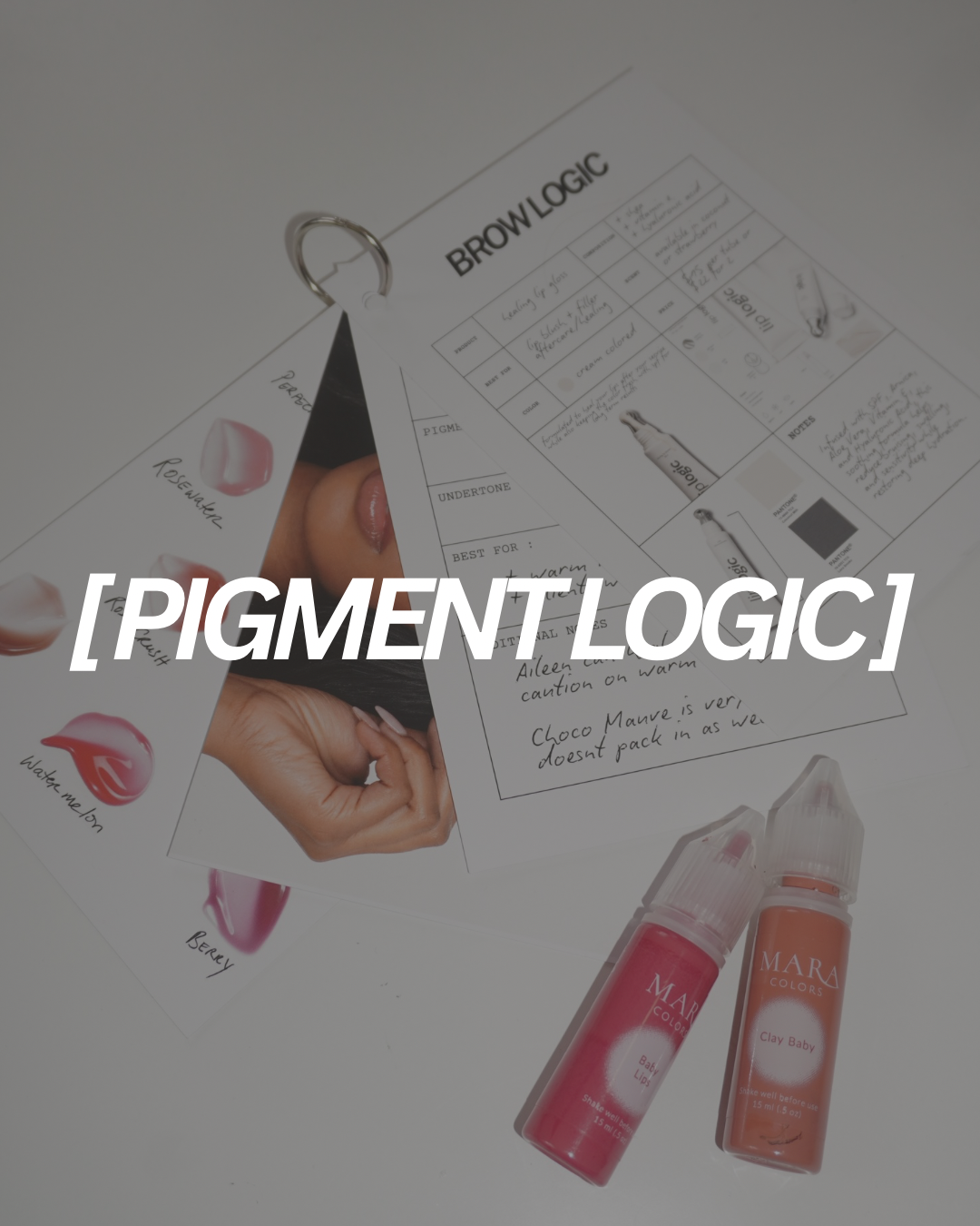Pigment Logic