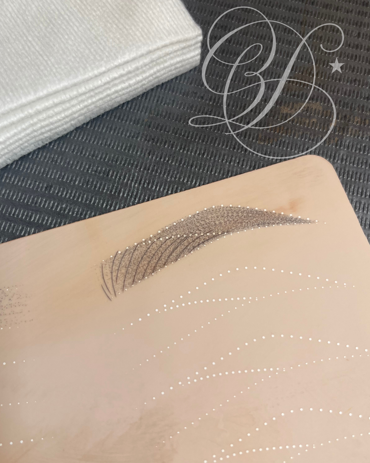 Ombre Brow Training