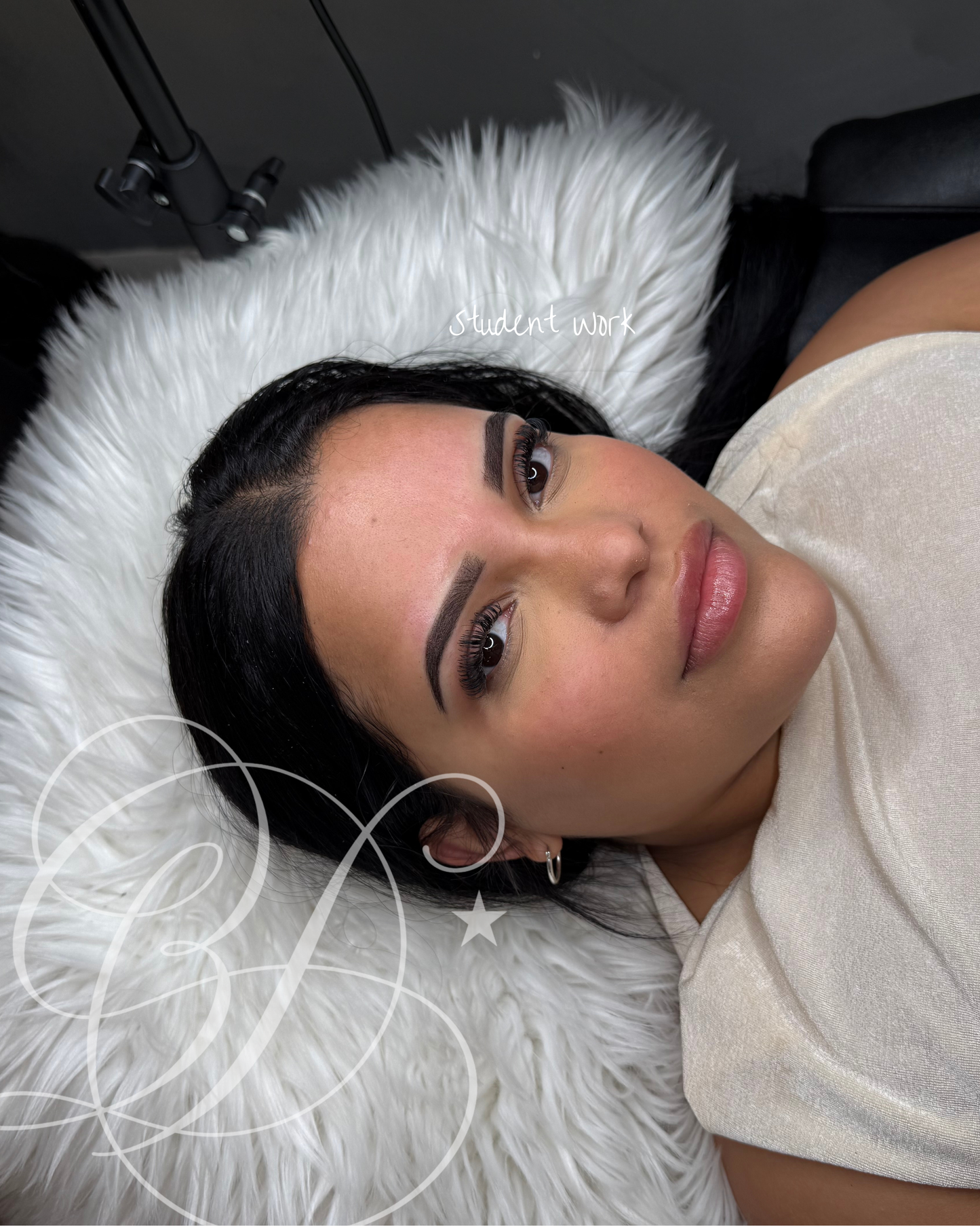 Ombre Brow Training