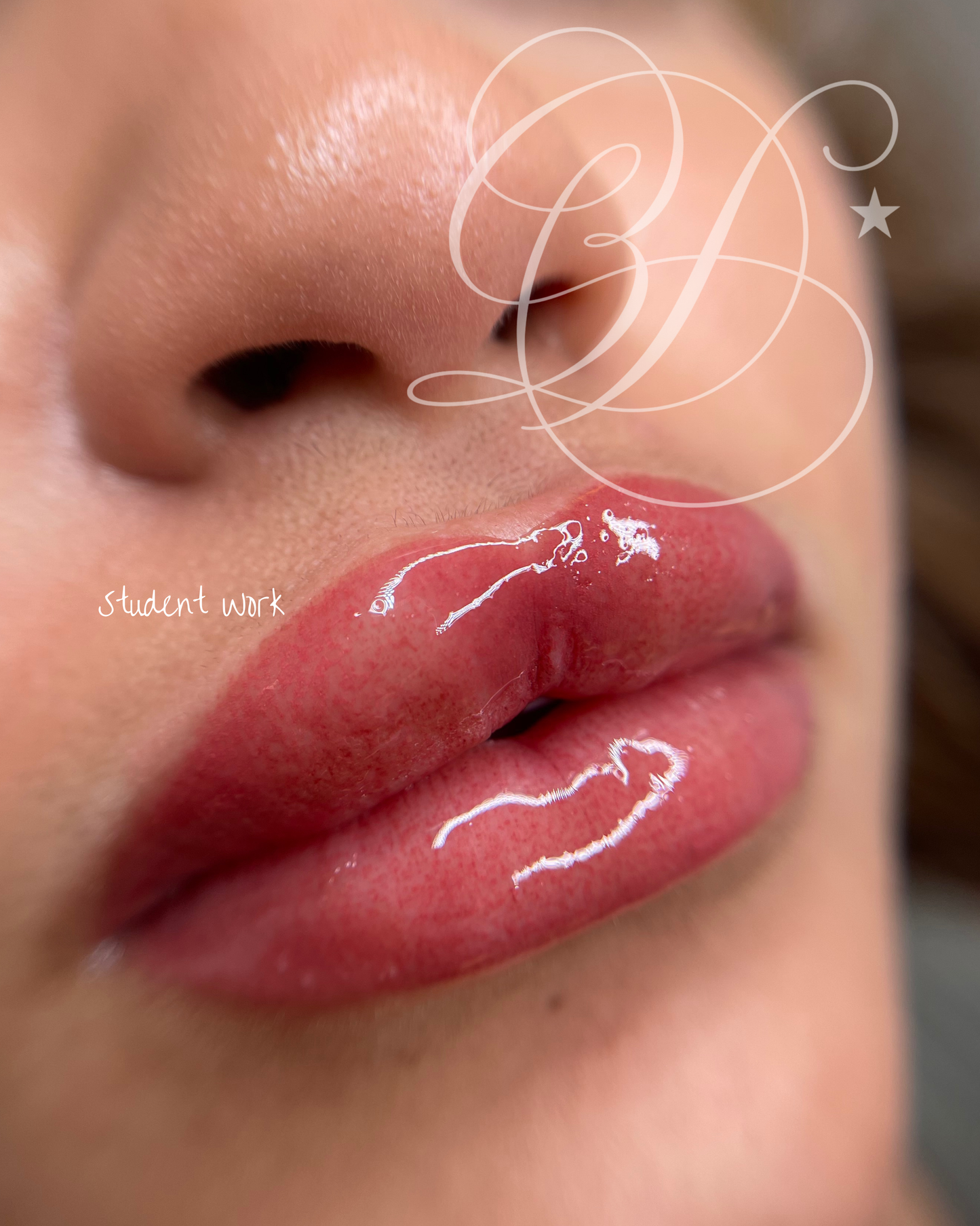 Lip Blush Training